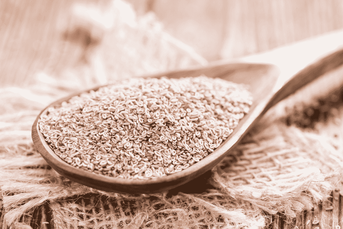 psyllium na perda de peso