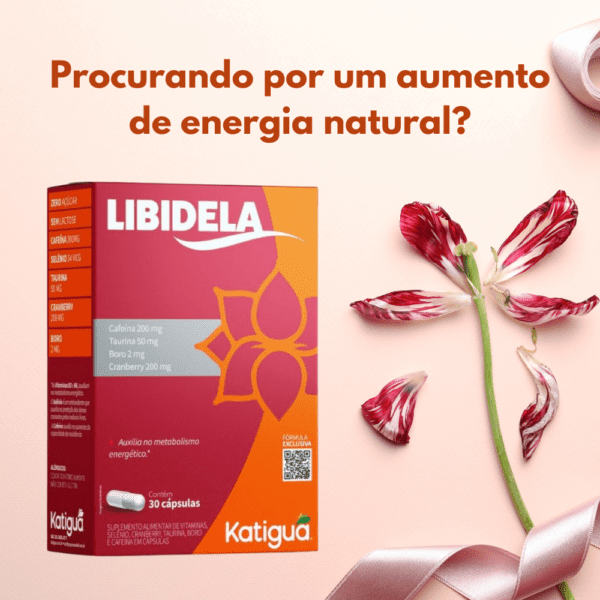 libidela criativo