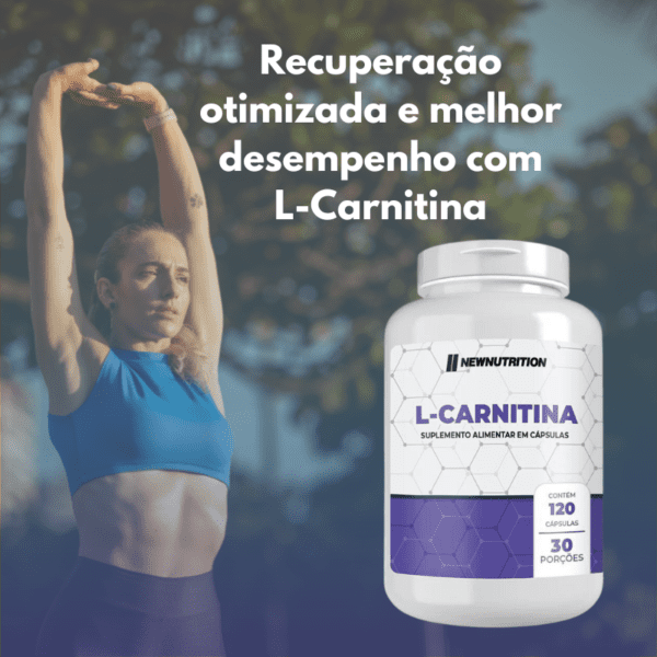 l carnitina - criativo