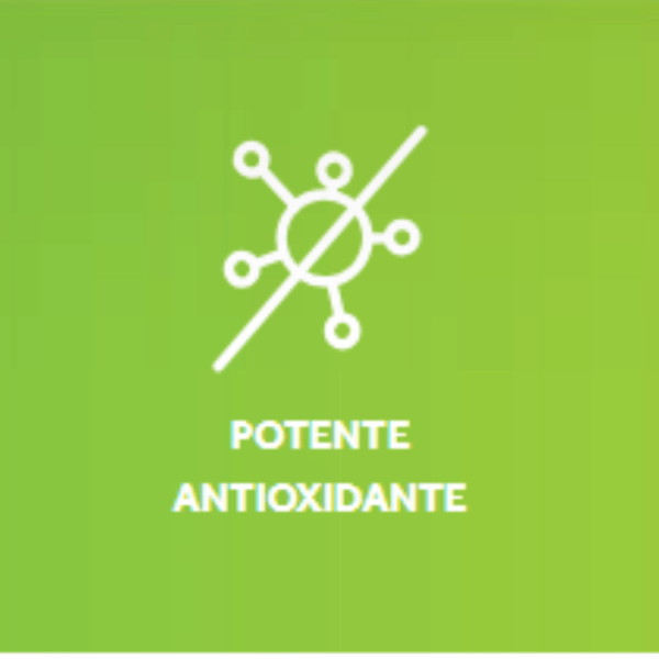 antioxidante astaxantina puravida