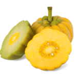 garcinia camboja perder peso